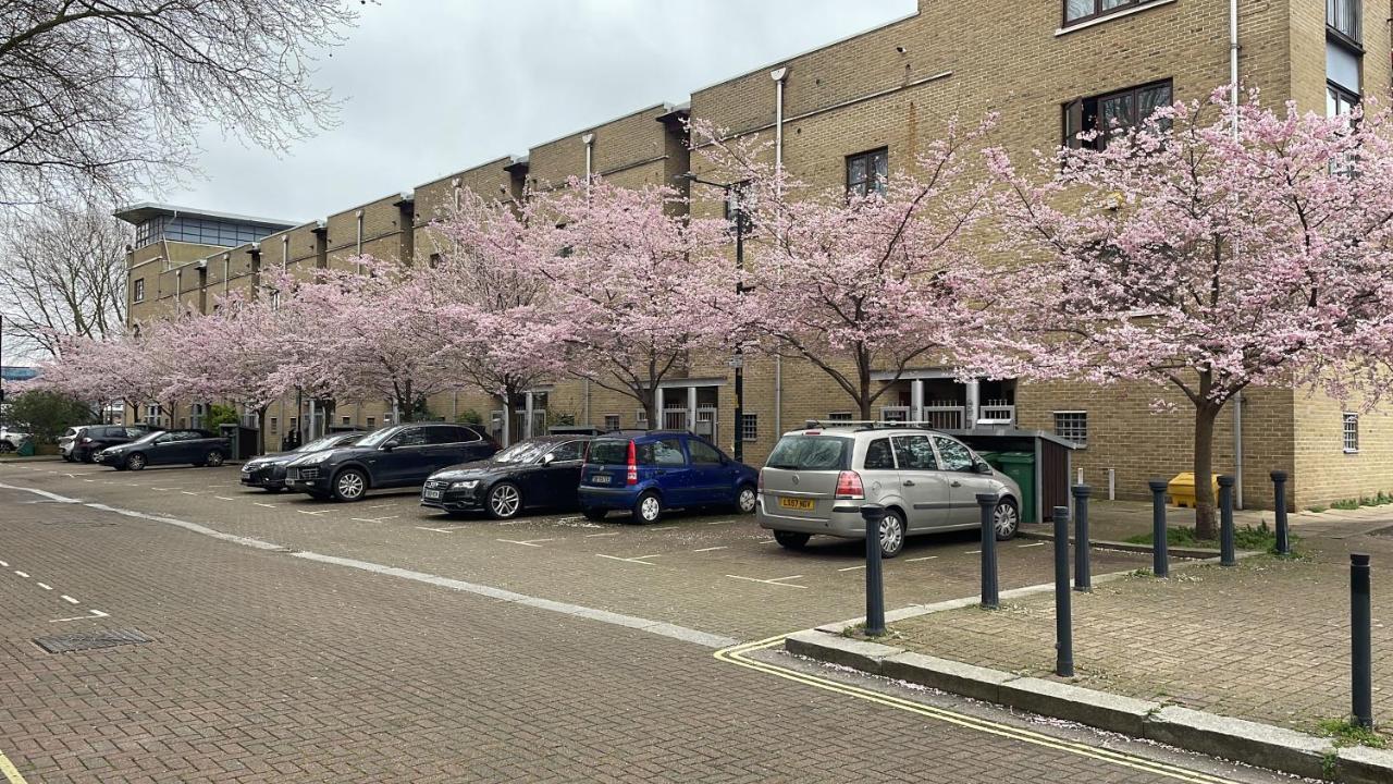 Plough Way Flat Apartment London Ngoại thất bức ảnh